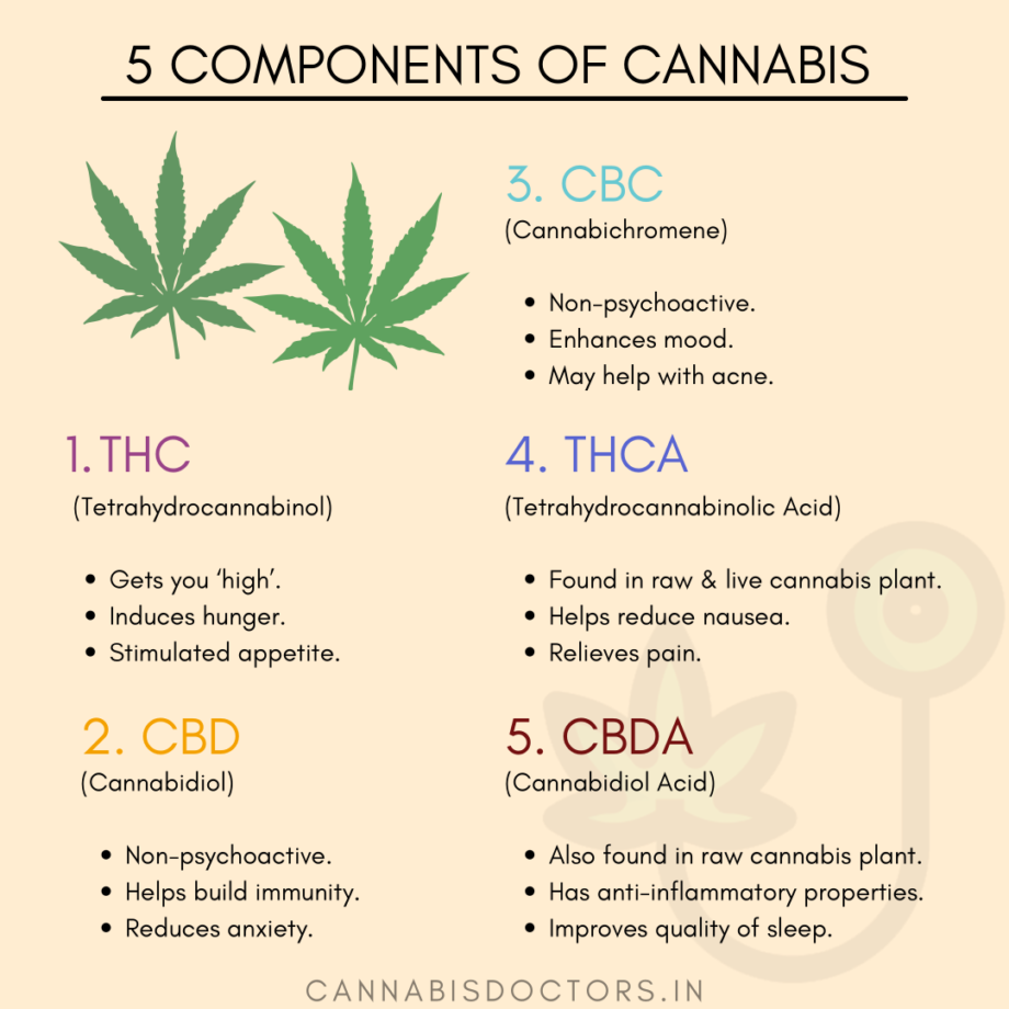 Top 5 Therapeutic Components of Cannabis | CannabisDoctors